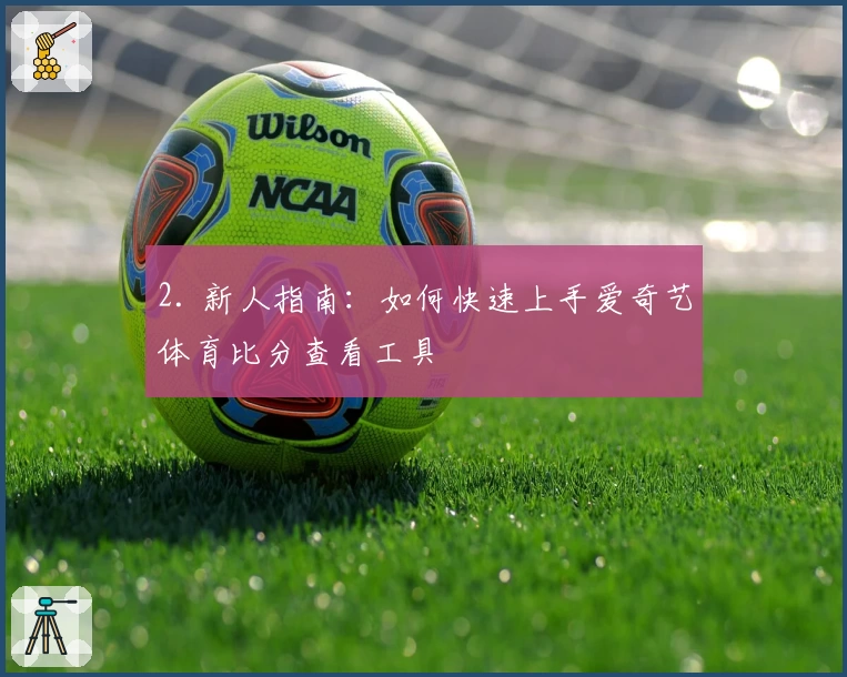 2. 新人指南：如何快速上手爱奇艺体育比分查看工具
